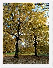 IMG20241130145236 * 3468 x 4624 * (10.7MB)