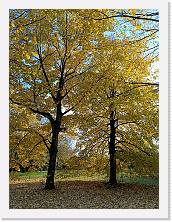 IMG20241130145236_01 * 3468 x 4624 * (10.82MB)