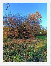 IMG20241130150037 * 2448 x 3264 * (4.7MB)