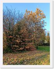 IMG20241130150042 * 3468 x 4624 * (10.07MB)