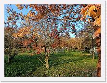 IMG20241130150953 * 4624 x 3468 * (10.97MB)