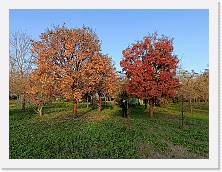 IMG20241130151018 * 4624 x 3468 * (9.06MB)