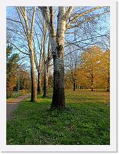 IMG20241130152904 * 3468 x 4624 * (10.06MB)