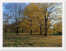 Oppo * 4624 x 3468 * (11.5MB)