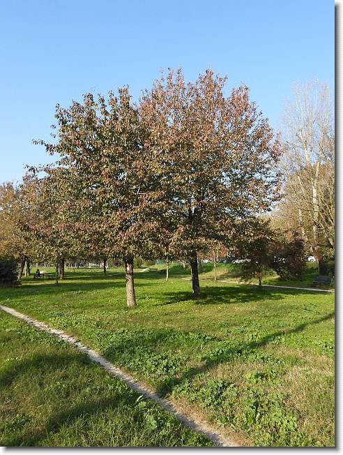 Clicca per scorrere le foto originali ingrandite