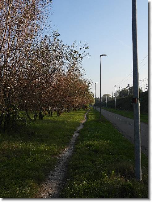 Clicca per scorrere le foto originali ingrandite