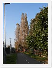 2024-11-15-14h22m05 * 4608 x 3456 * (6.69MB)