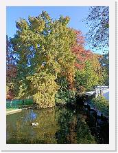 2024-11-11-12h07m14 * 3468 x 4624 * (9.42MB)