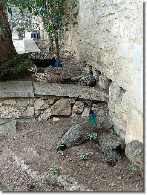 Clicca per scorrere le foto originali ingrandite