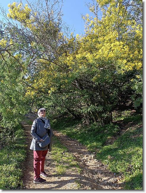Clicca per scorrere le foto originali ingrandite