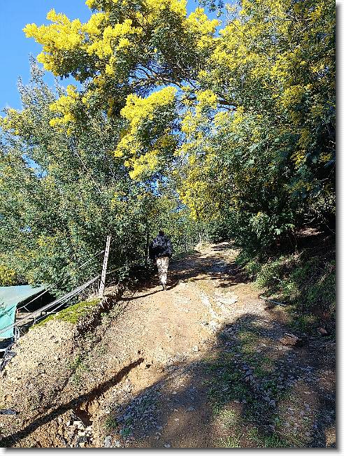 Clicca per scorrere le foto originali ingrandite