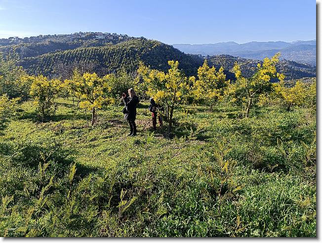 Clicca per scorrere le foto originali ingrandite