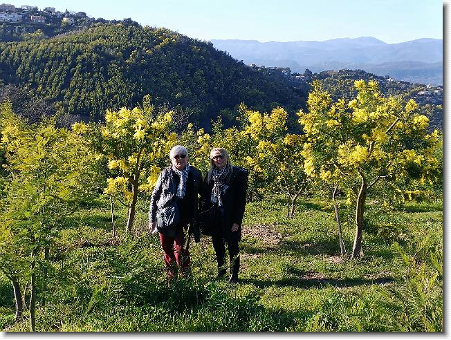 Clicca per scorrere le foto originali ingrandite