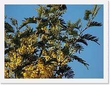 2025-02-15-15h13m25 * 4608 x 3456 * (5.45MB)