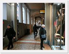 2025-02-12-14h26m19 * Via Rizzoli * Via Rizzoli * 4624 x 3468 * (5.21MB)