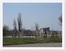 2025-03-07-15h11m53 * 4608 x 3456 * (7.2MB)