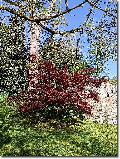 Clicca per scorrere le foto originali ingrandite
