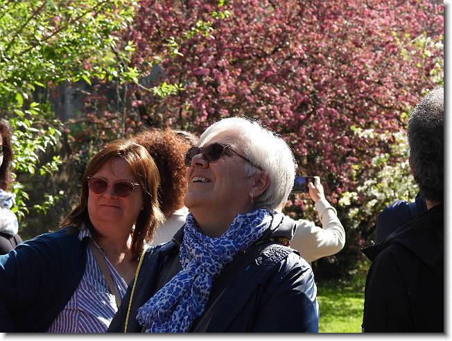 Clicca per scorrere le foto originali ingrandite