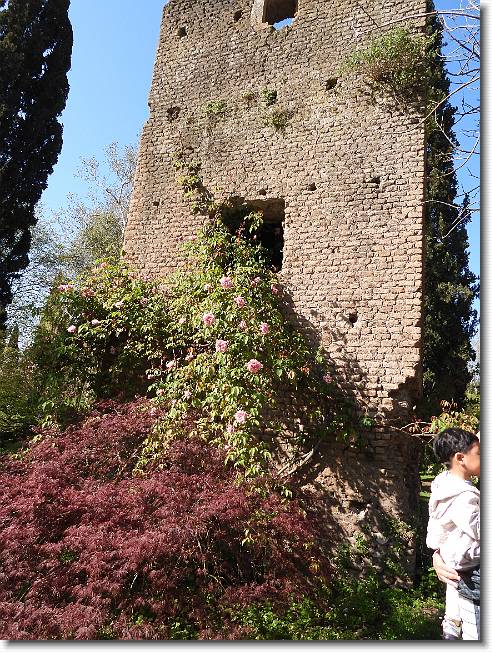 Clicca per scorrere le foto originali ingrandite