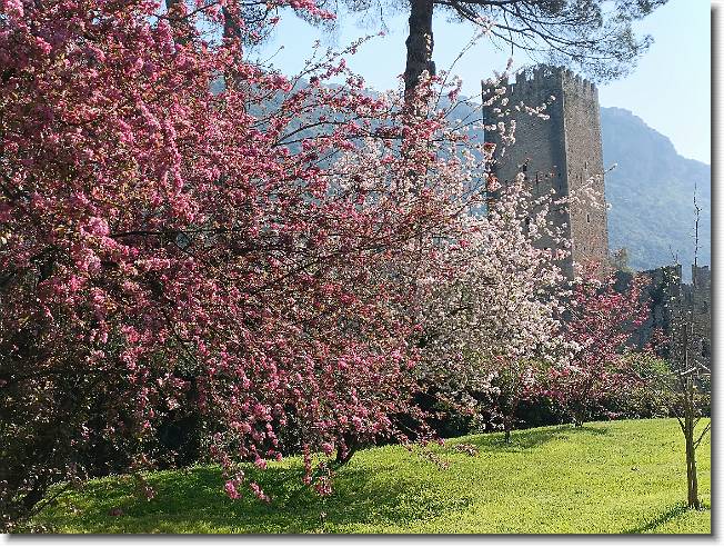Clicca per scorrere le foto originali ingrandite