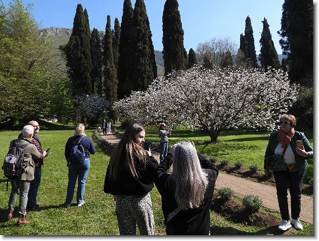 Clicca per scorrere le foto originali ingrandite