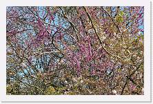 2025-04-05-10h40m11 * 3441 x 2231 * (3.8MB)