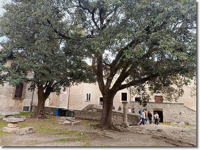 Clicca per scorrere le foto originali ingrandite