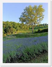 IMG20250619192741 * 3468 x 4624 * (8.98MB)