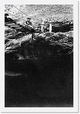 File0010 * 972 x 1437 * (234KB)