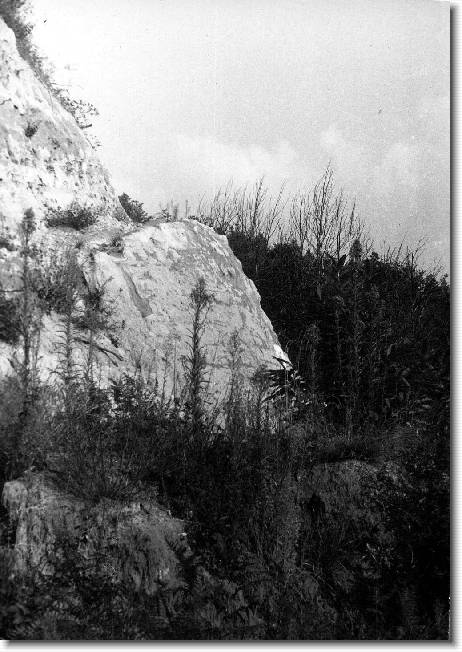 Clicca per scorrere le foto originali ingrandite