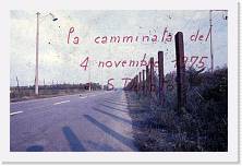 cammi003 * 1672 x 1087 * (250KB)