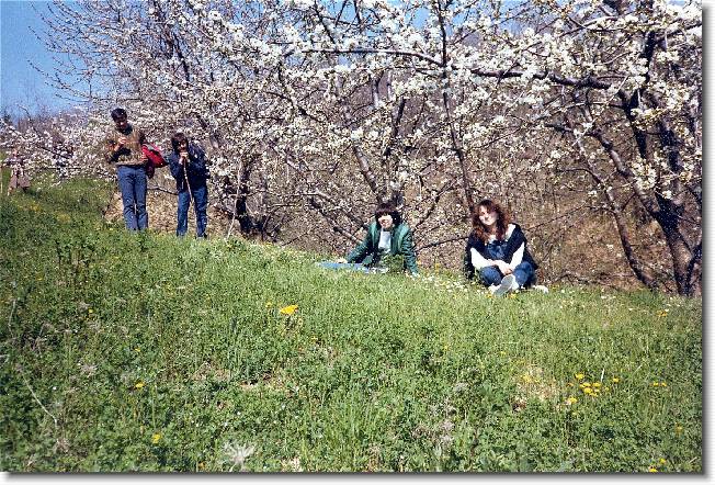 Clicca per scorrere le foto originali ingrandite