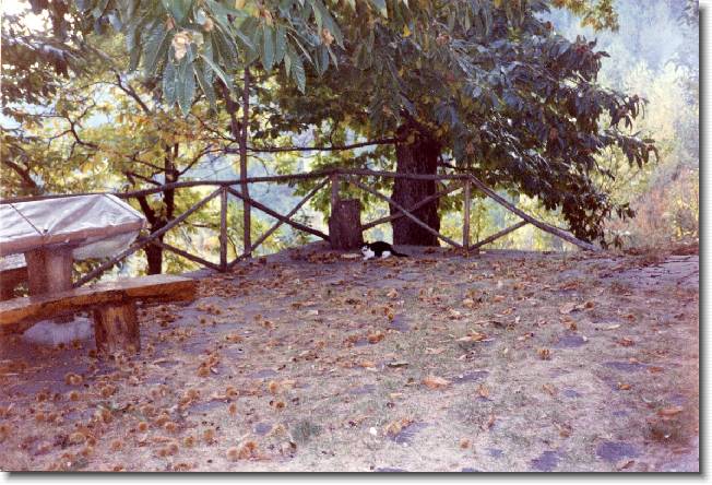 Clicca per scorrere le foto originali ingrandite