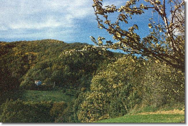 Clicca per scorrere le foto originali ingrandite
