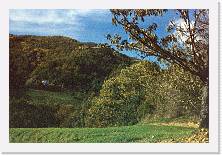 Scansione0016 * 1732 x 1165 * (895KB)