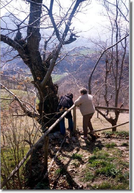 Clicca per scorrere le foto originali ingrandite
