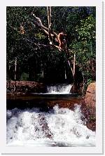 aus175 * 1192 x 1848 * (400KB)