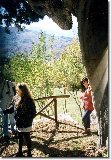 Clicca per scorrere le foto originali ingrandite