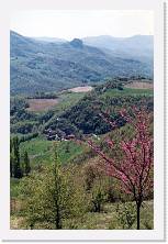 Scansione0008 * 1159 x 1765 * (611KB)