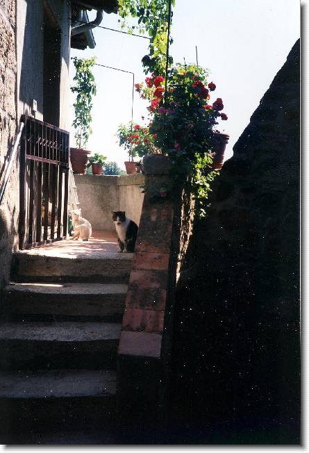 Clicca per scorrere le foto originali ingrandite