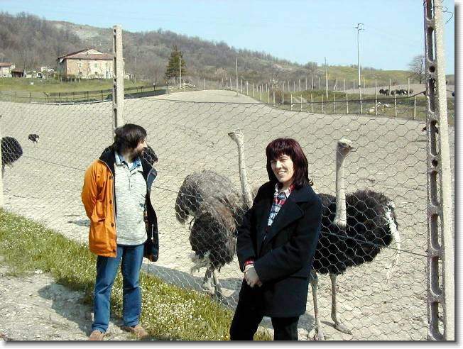 Clicca per scorrere le foto originali ingrandite