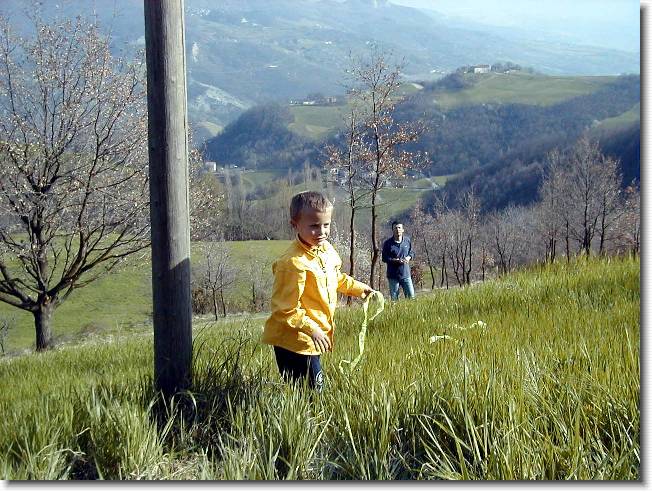 Clicca per scorrere le foto originali ingrandite