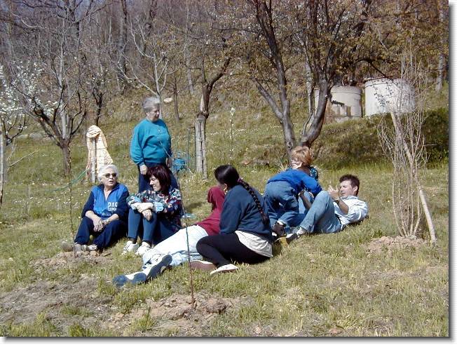Clicca per scorrere le foto originali ingrandite