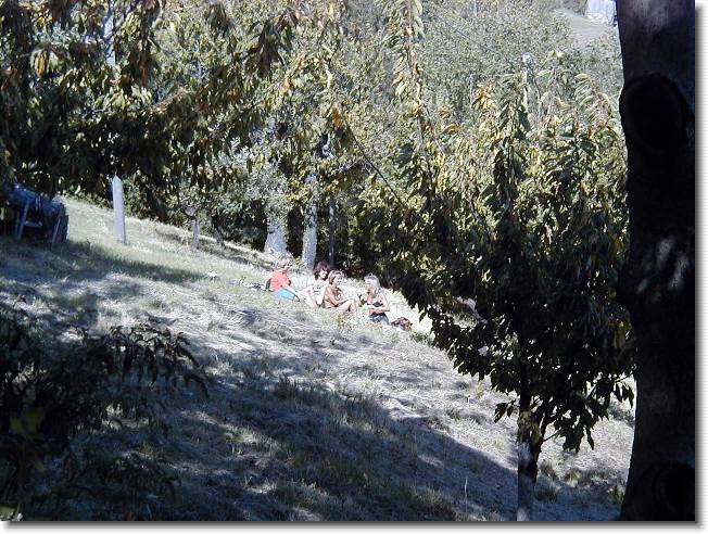 Clicca per scorrere le foto originali ingrandite