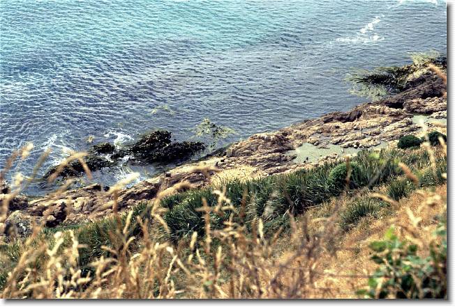 Clicca per scorrere le foto originali ingrandite
