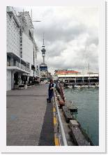 nz006 * 1192 x 1786 * (305KB)