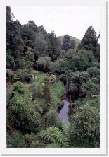 nz026 * 1192 x 1786 * (400KB)