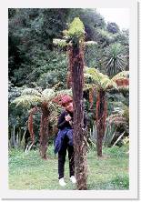 nz027 * 1192 x 1786 * (486KB)