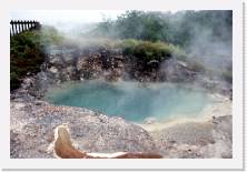 nz033 * 1786 x 1199 * (244KB)
