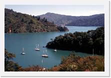 nz077 * 1786 x 1199 * (323KB)